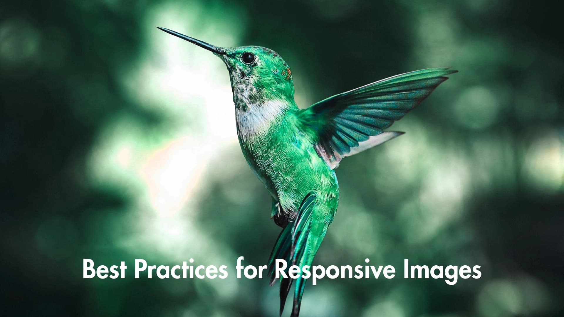 5 Best Practices for Using Responsive Images on Websites